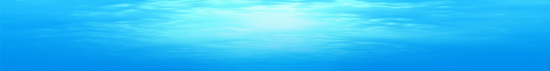 Hufiec ZHP Krak&oacute;w-Śr&oacute;dmieście